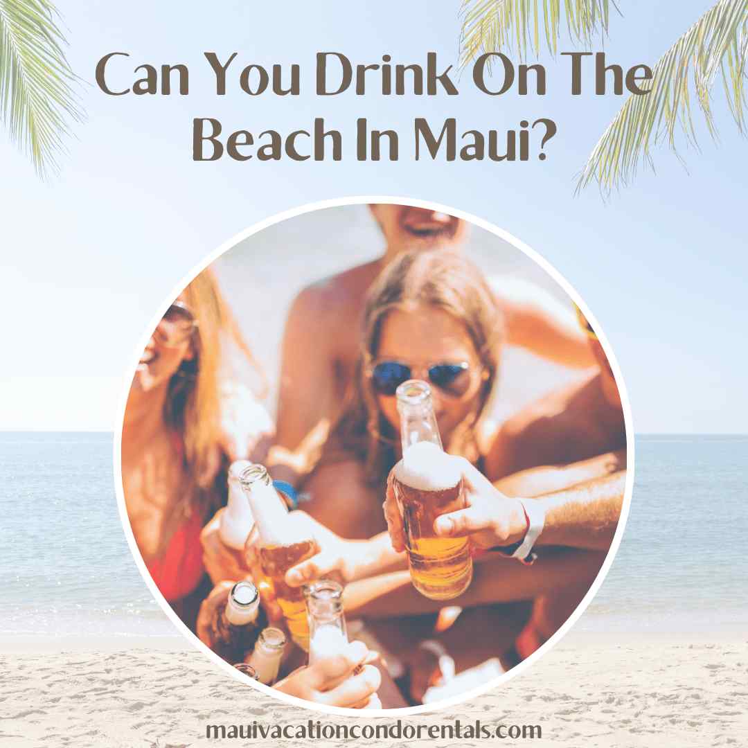 Can You Drink On The Beach In Maui?