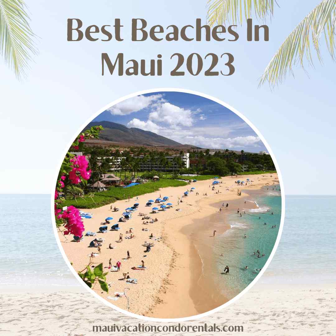 Best Beaches In Maui 2023