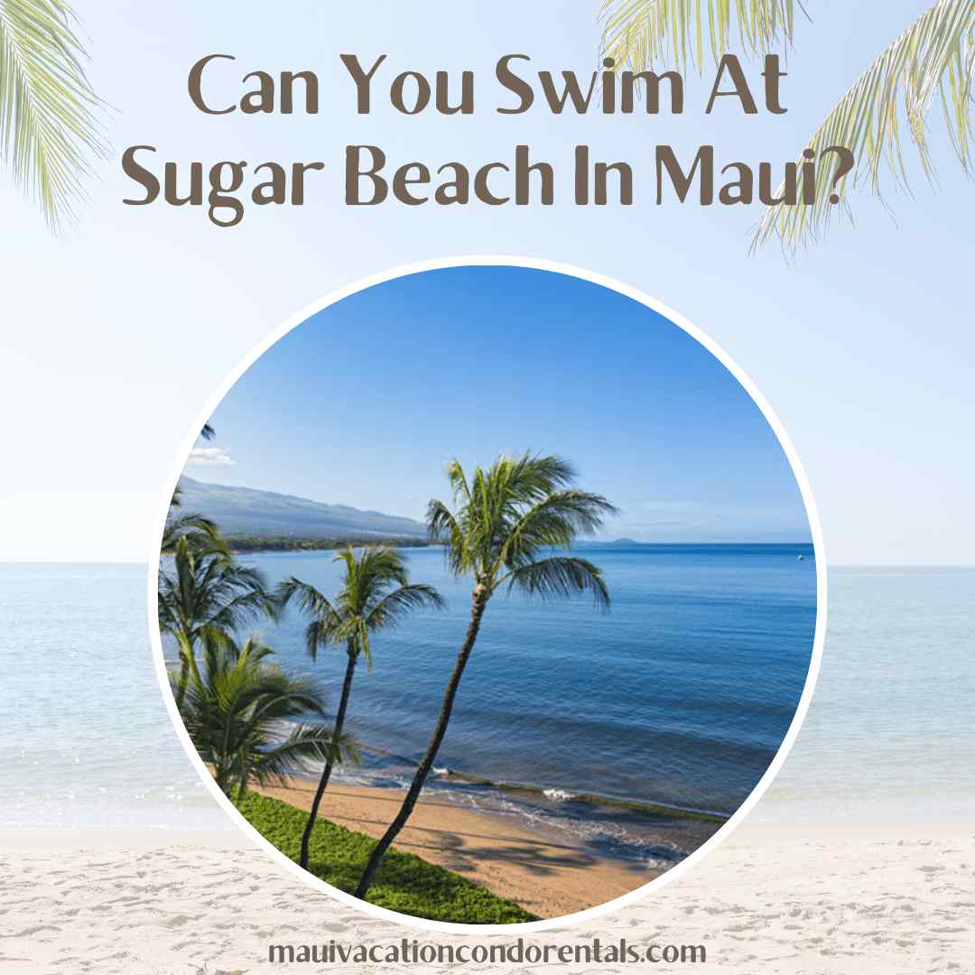 Can You Swim At Sugar Beach In Maui?