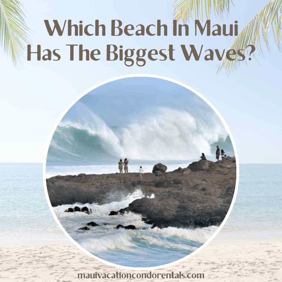 Which Beach In Maui Has The Biggest Waves?